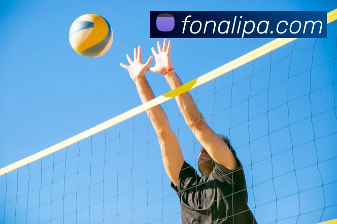 pa真人视讯品牌故事