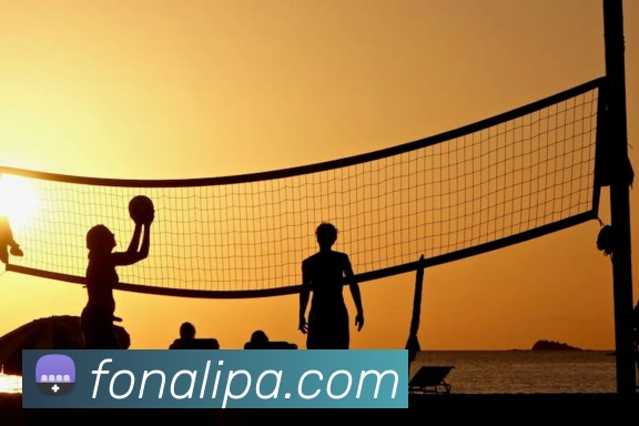 pa真人视讯服务体系